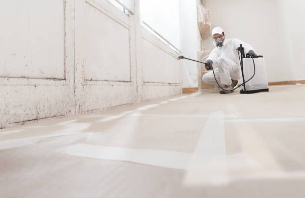 24/7 Emergency Mold Testing experts in North Arlington, NJ